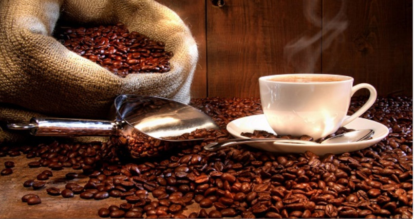 با عضویت در کانال تلگرامی قهوه پخش در جریان به‌روزترین قیمت قهوه عمده قرار می‌گیرید