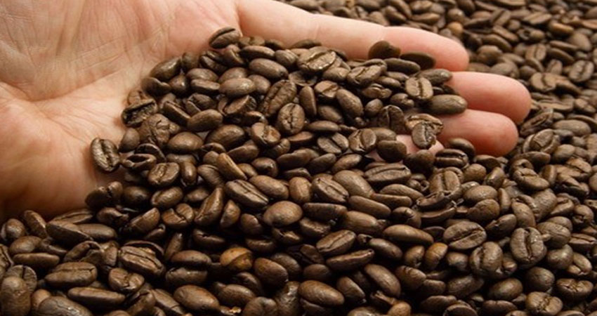 خریدار عمده قهوه؛ خریداران قهوه عمده ای به کجا مراجعه کنند؟