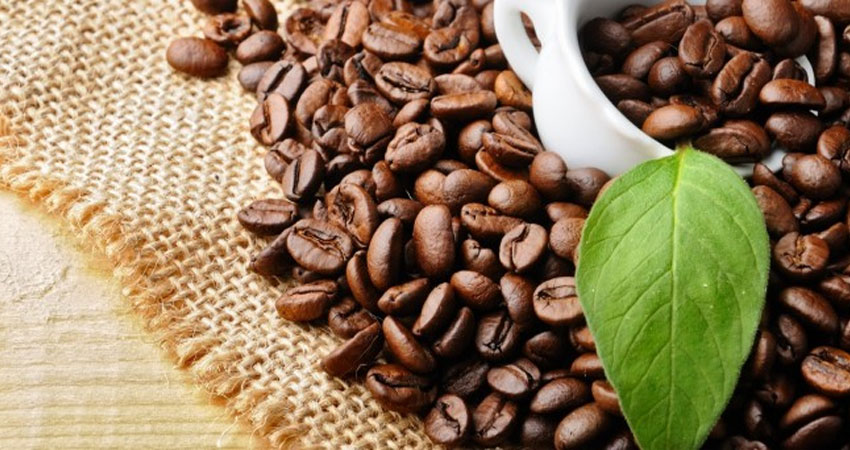 واردات مستقیم دانه قهوه بدون واسطه