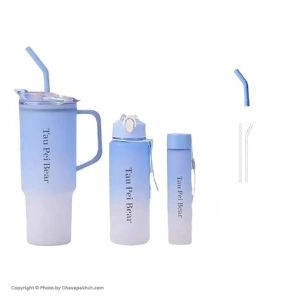 قمقمه سه قلو طرح استنلی