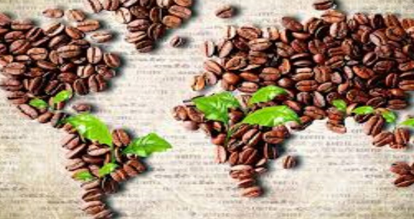 بزرگترین وارد کننده قهوه در ایران