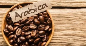 قیمت هر کیلو قهوه عربیکا