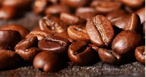 کانال فروش عمده قهوه؛ اطلاع از به روزترین قیمت انواع قهوه به صورت عمده
